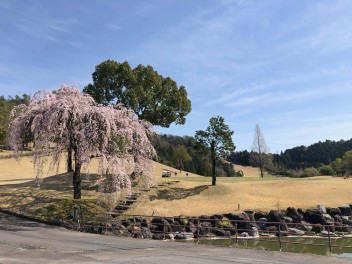 入社式に向けて・・・